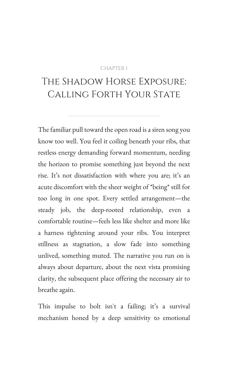 Shadow Horse Shadow Self: Complete Edition: Target Your Reality interior preview