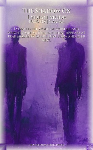 Shadow Ox Anger Patterns: Your Path Forward: Your Trail Crystallized preview 6