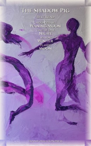 Shadow Pig Shadow Self Workbook: Your Pursuit Actualized preview 5