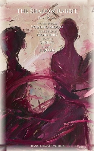 Shadow Rabbit Inner Conflict Manual: Your Kingdom Materialized preview 5