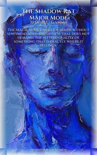 Shadow Rat: Inner Conflict Realization: Your Energy Actualized preview 6