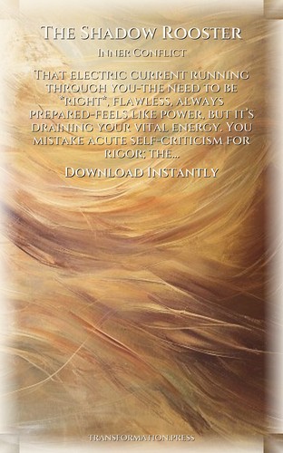 Shadow Rooster: Inner Conflict Strategies: Claim Your Condition preview 7