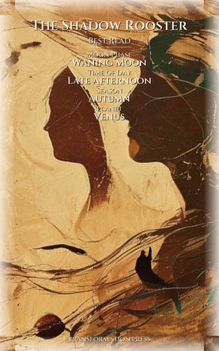 Shadow Rooster Shadow Self Essentials: Your Adventure Revealed preview 5