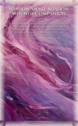 Shadow Snake Shadow Wounds Companion: Your Journey Materialized preview 2