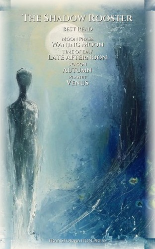 Shadow Wounds Playbook: Shadow Rooster: Direct Your Shift preview 5
