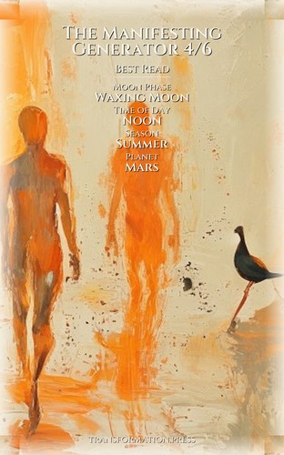 Health Experience: Manifesting Generator 4/6: Your Method Decoded preview 5