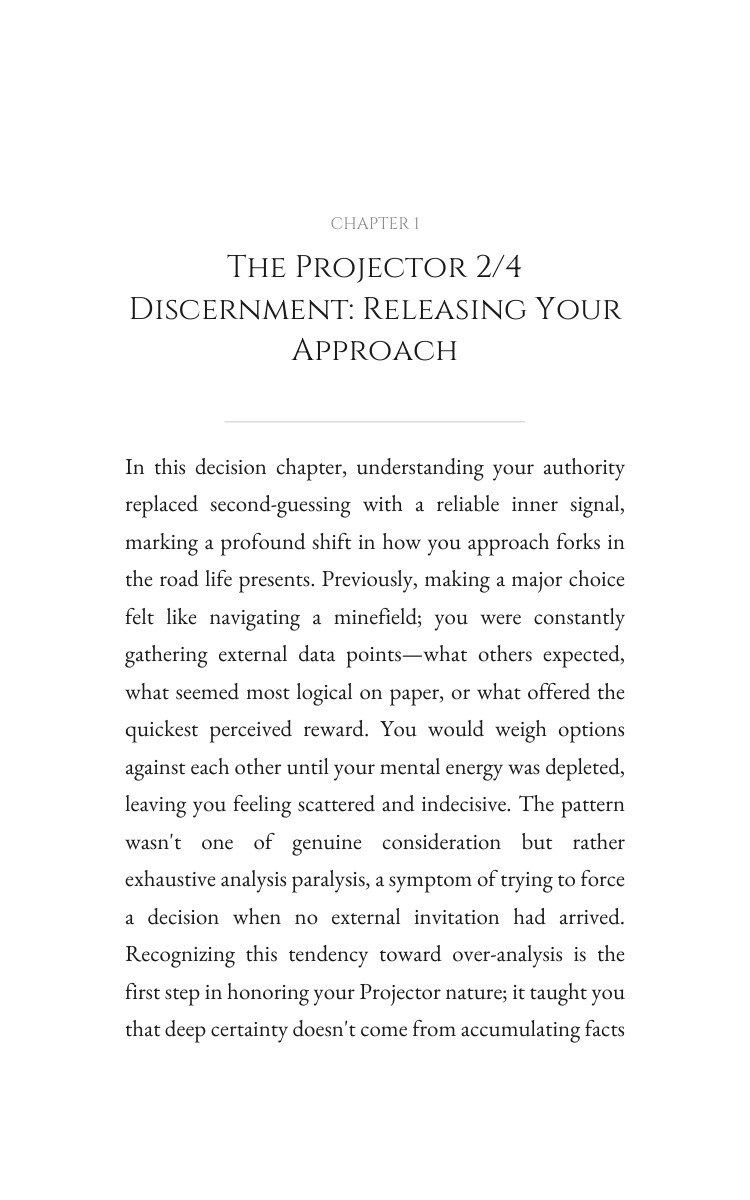 Projector 2/4 Decision Making Primer: Your Excellence Manifested interior preview