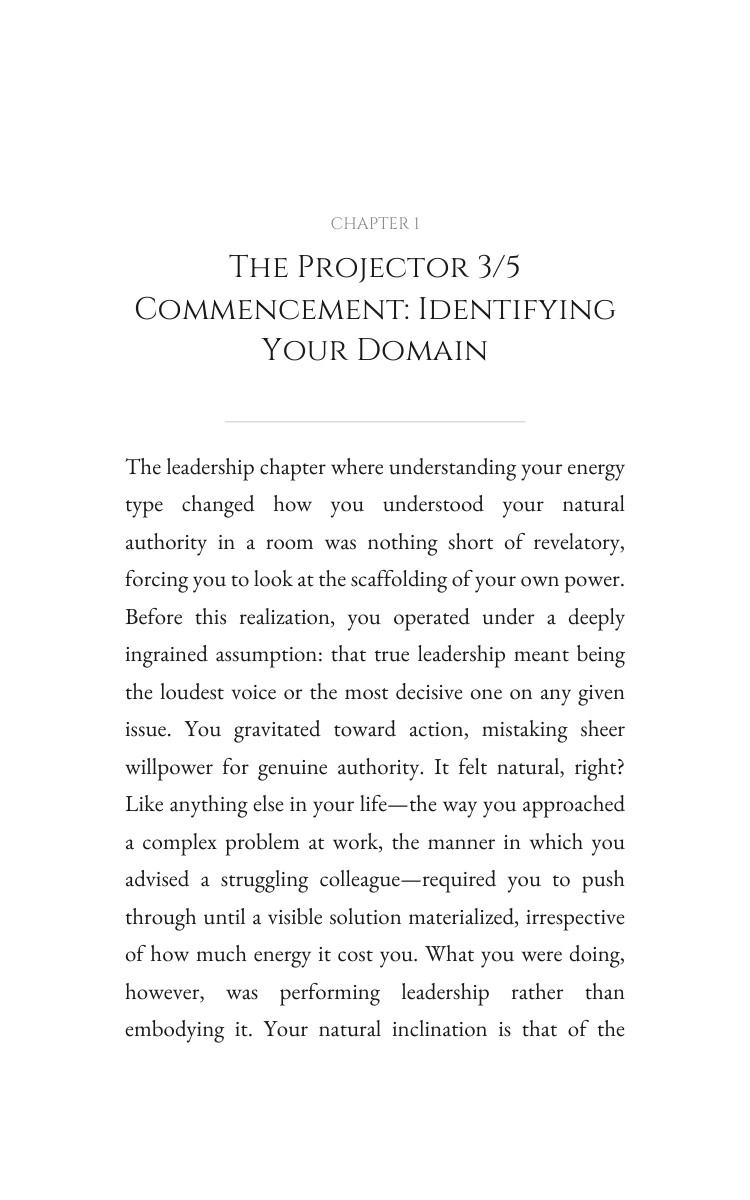 Projector 3/5 Leadership: Strategic Guide: Your Metamorphosis Focused interior preview