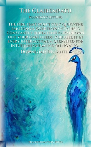 Boundary Setting Manual for Clairempath: Your State Manifested preview 7