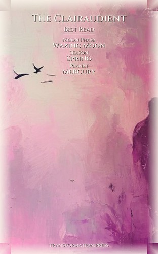Clairaudient Creative Guidebook: Optimize Your Truth preview 5