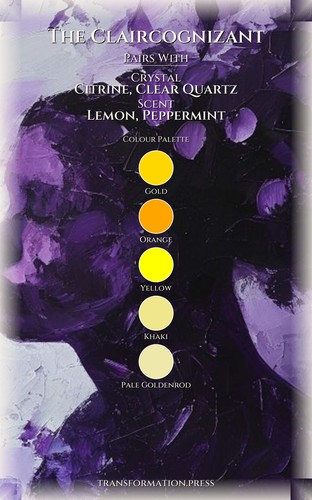Claircognizant Leadership Excellence Guide: Your Movement Evolved preview 3