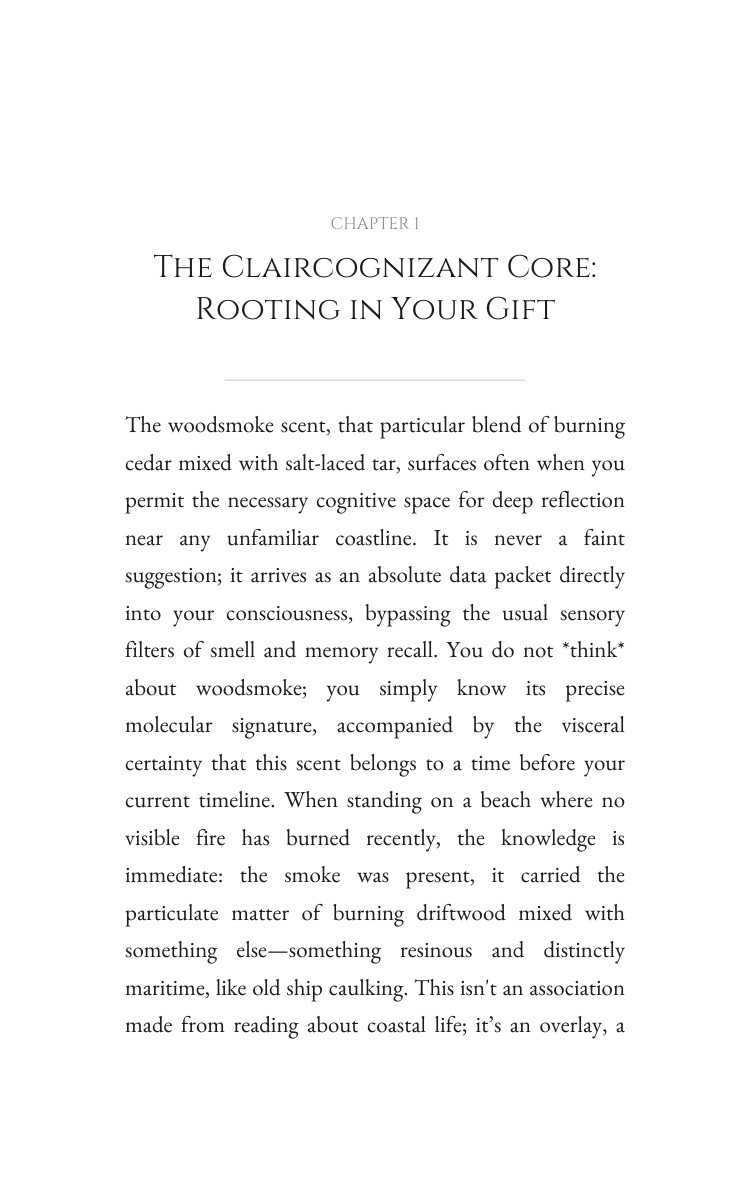 Claircognizant Past Life Optimization Guide: Your Road Energized interior preview