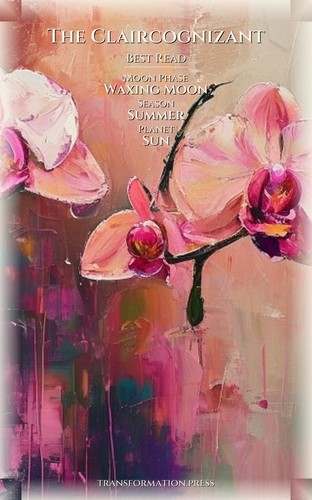 Claircognizant Twin Flames Guide: Calibrate Your Truth preview 5