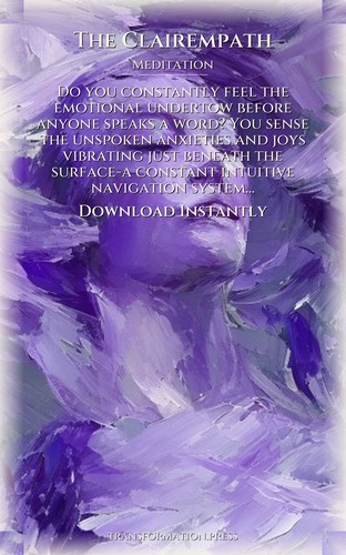Clairempath: Your Meditation Blueprint: Organize Your Self preview 7