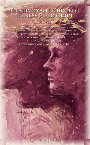 Clairvoyant Chronic Illness Field Guide: Ground Your Way preview 2