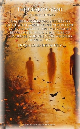 Clairvoyant Coaching Therapy Companion Guide: Your Condition Conducted preview 7