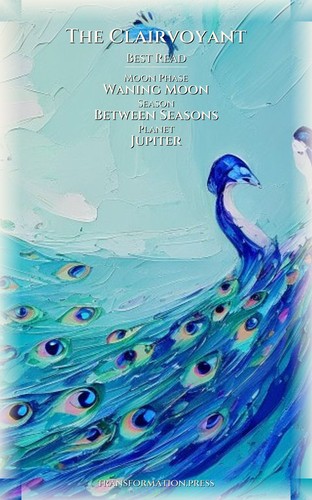 Clairvoyant Energy Reading Decoded: Weaponize Your Energy preview 5
