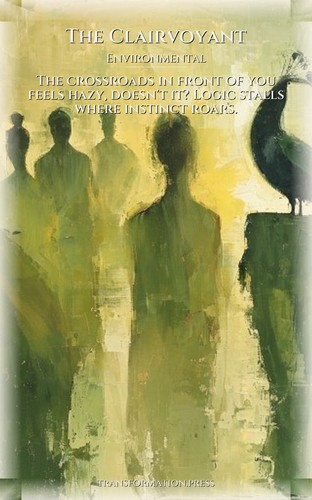 Clairvoyant Environmental: Practical Guide: Your World Balanced preview 1
