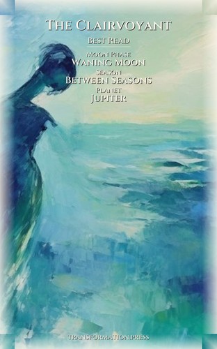 Clairvoyant Guide to Life Purpose: Secure Your Condition preview 5