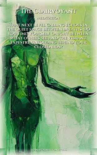 Clairvoyant: Navigating Meditation: Your Search Forged preview 1