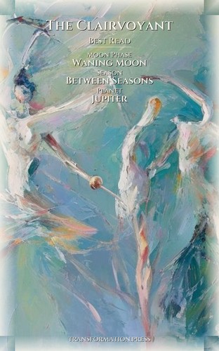 Clairvoyant: Navigating Meditation: Your Search Forged preview 5