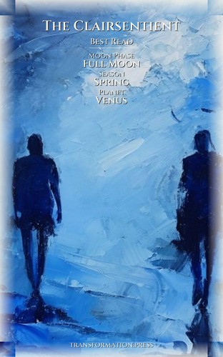 Divorce Protocol: Clairsentient: Your Excellence Harmonized preview 5