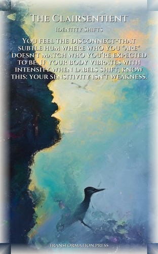 Identity Shifts Code: Clairsentient: Your Transformation Awakened preview 1