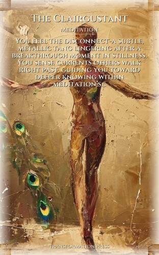 Meditation Handbook: Clairgustant: Your Evolution Concentrated preview 1