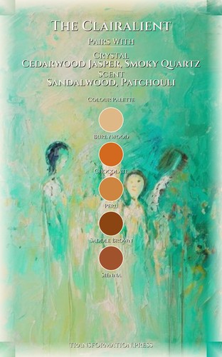 Spirituality Navigator: Clairalient: Systematize Your Life preview 3