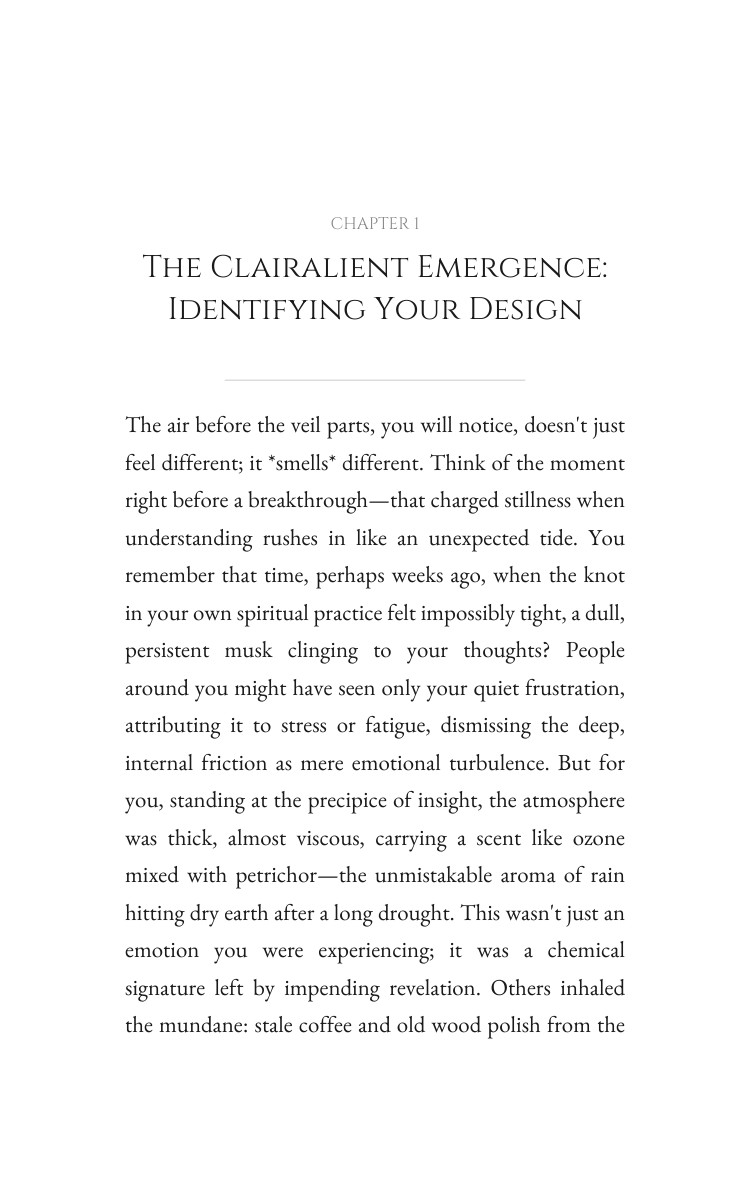 Spirituality Navigator: Clairalient: Systematize Your Life interior preview