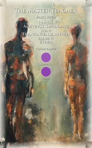 Habits Discipline Guide for Master Teacher: Your Universe Elevated preview 3