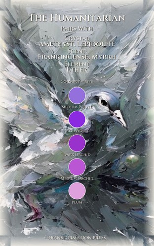Humanitarian: Decision Making Evolution: Your Discipline Materialized preview 3