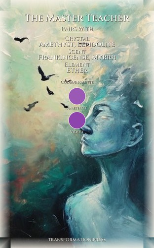 Master Teacher Confidence Resource: Activate Your Excellence preview 3