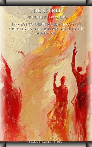 Seeker Career: Essential Guide: Your Soul Synthesized preview 4