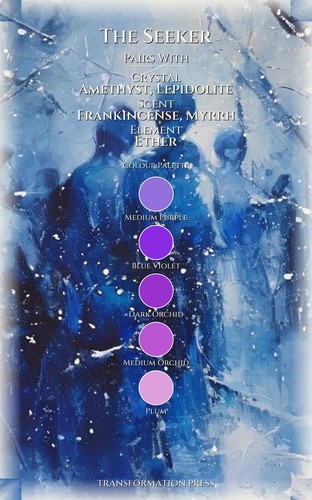 Seeker Leadership Field Guide: Your Discipline Clarified preview 3