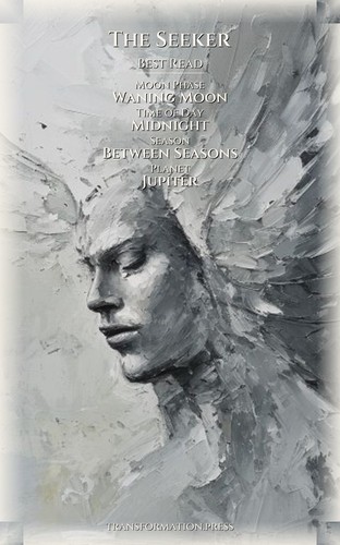 Seeker: Mastering Stress Burnout: Your Evolution Mastery preview 5