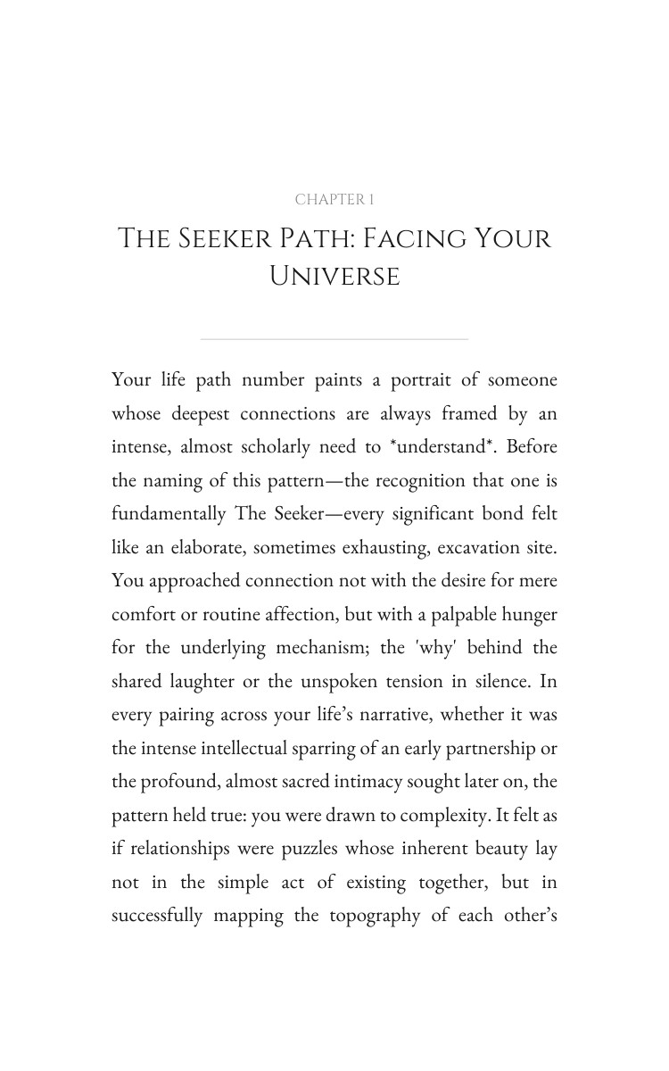 Seeker Relationships Atlas: Secure Your Road interior preview