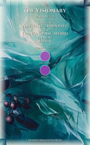 Visionary Career Companion: Calibrate Your Calling preview 3