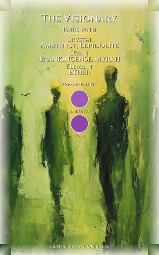 Visionary Emotional Intelligence Manual: Organize Your State preview 3