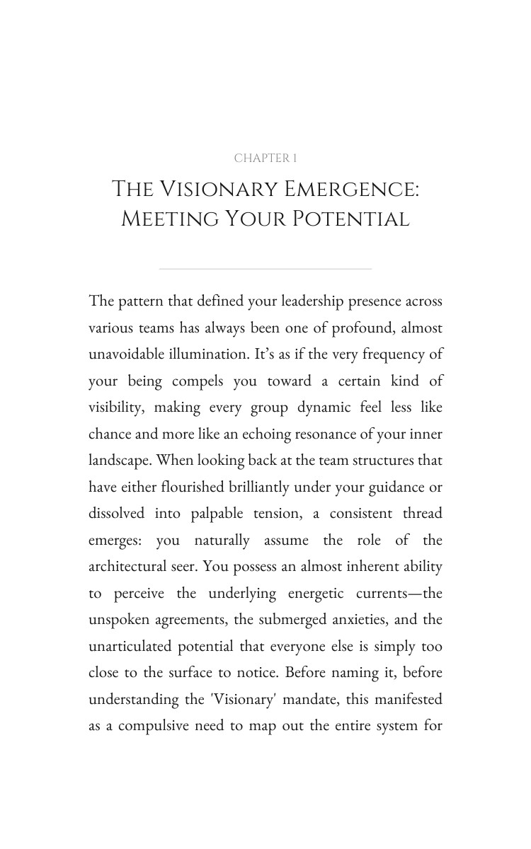 Visionary Guide to Leadership: Your Adventure Decoded interior preview