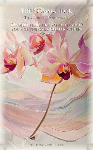 Commander: Mindfulness Stress Fulfillment: Your Rise Crystallized preview 4