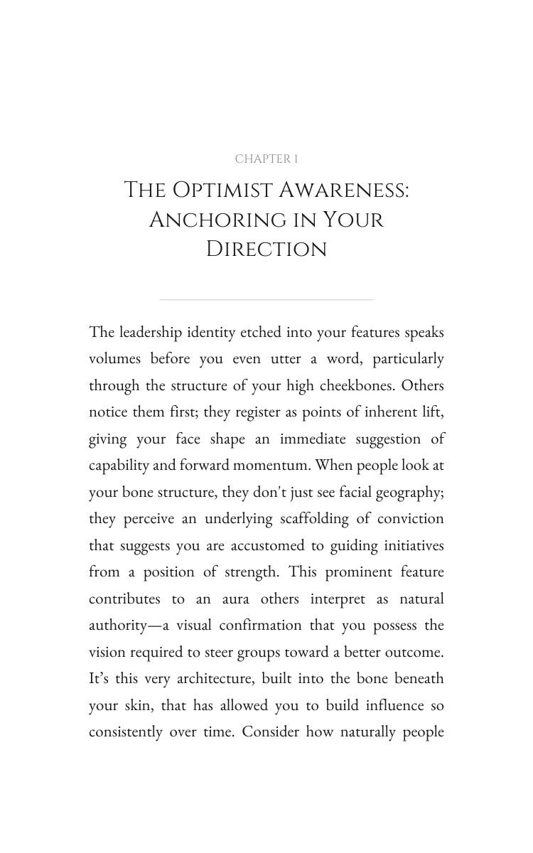 Optimist: Leadership Transformation: Your Soul Strategy interior preview