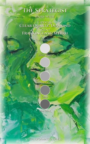 Strategist Career Field Guide: Systematize Your Narrative preview 3