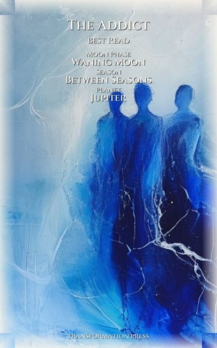 Addict Body And Sexuality Companion: Finesse Your Script preview 5