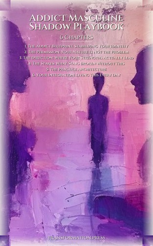 Addict Masculine Shadow Playbook: Architect Your Approach preview 2