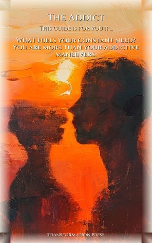 Addict Masculine Shadow Playbook: Architect Your Approach preview 4