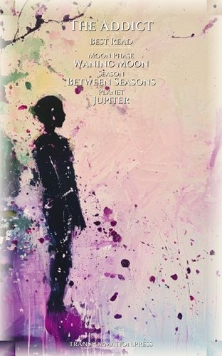 Addict Masculine Shadow Playbook: Architect Your Approach preview 5