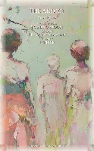 Addict Shame And Guilt Success Guide: Your Discipline Decoded preview 5