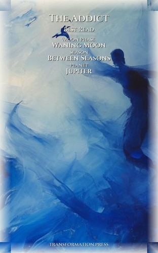 Addict Spiritual Shadow Excellence Guide: Your Essence Empowered preview 5