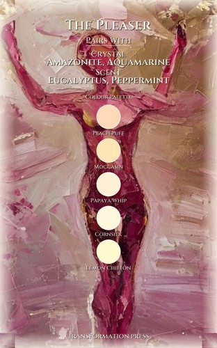 Feminine Shadow Solution for Pleaser: Your Vitality Path preview 3